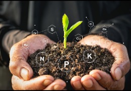 食品原料小百科：植物中能用PQQ嗎？