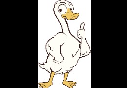 食品原料小百科：PQQ在動物領域的應用？